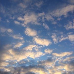 Meet your Posher, Andy